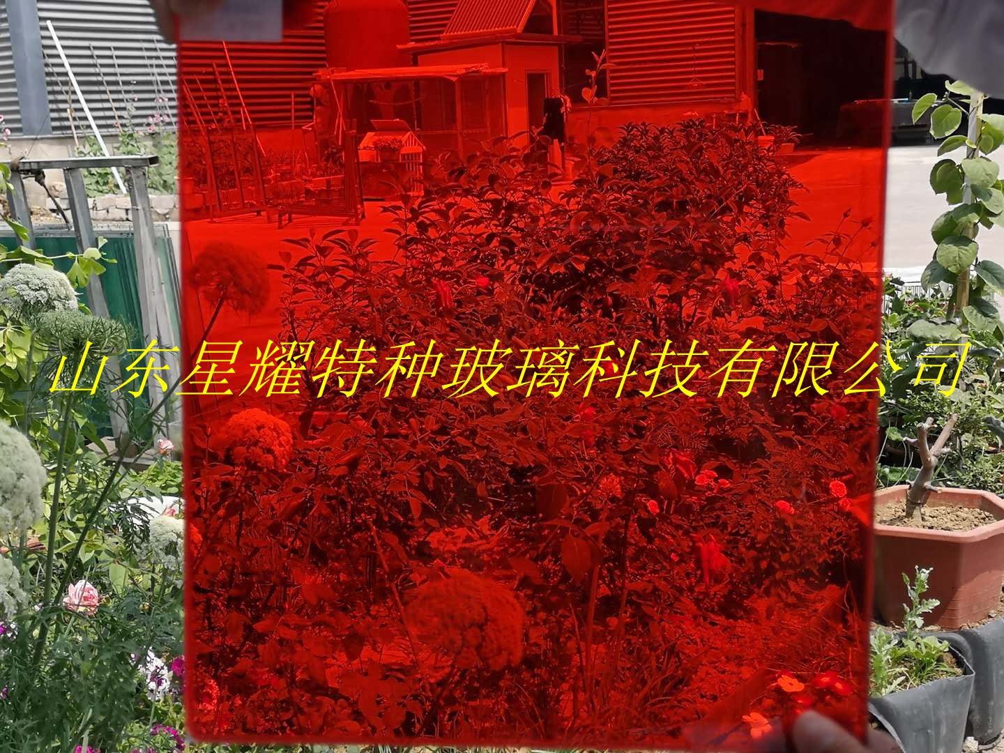 彩色夹胶玻璃